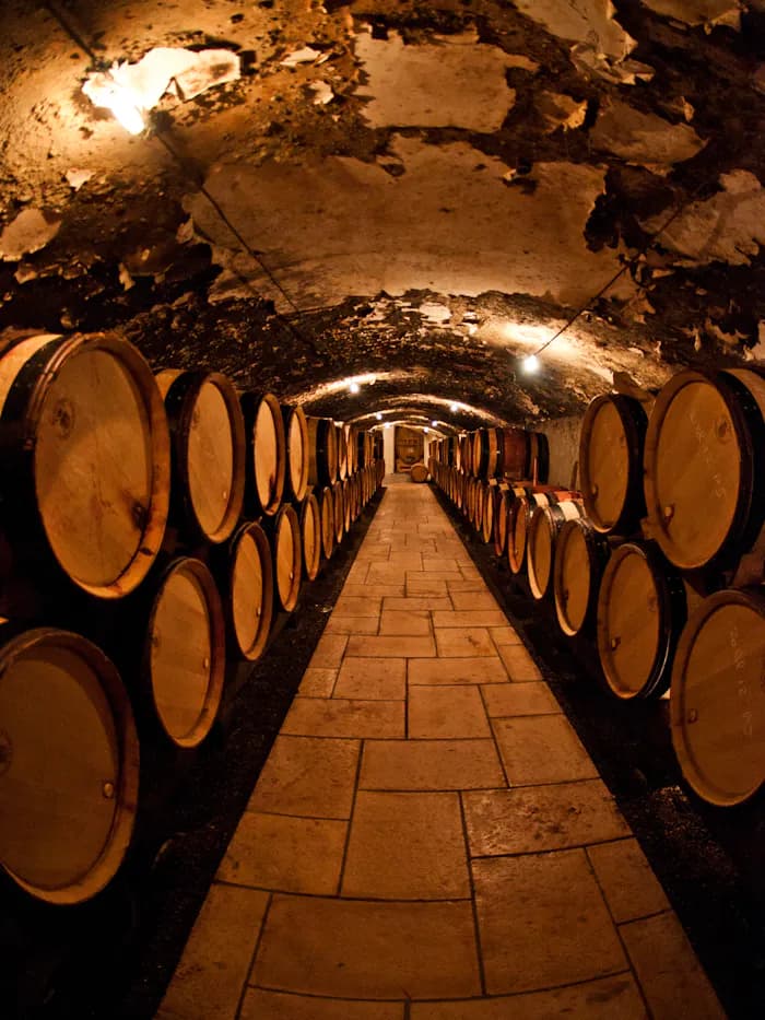 Túnel de barricas en una bodega